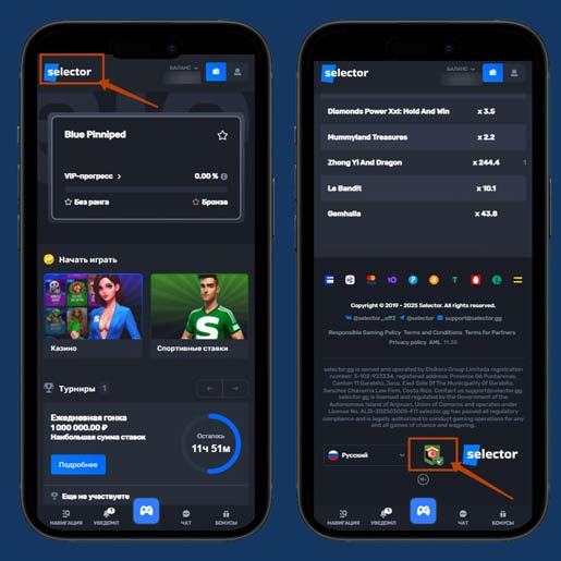 Проверка лицензии