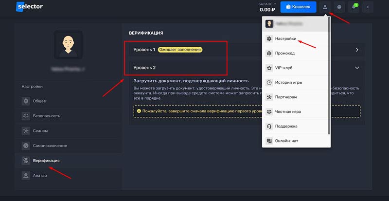 Верификация в Selector Casino